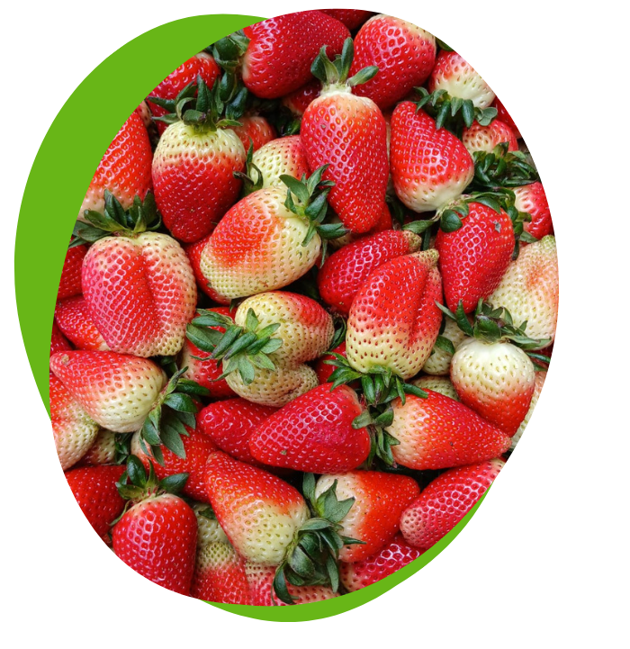 Fabricantes de colorantes para la industria alimentaria